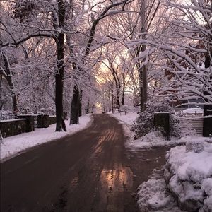 Meet your Posher, Morgan